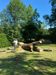 Photo de galerie - Abattage d’armes