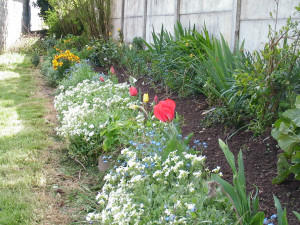 Photo de galerie - Création de plate-bande de saison 