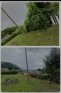 Photo de galerie - Bonjour abattage d’une haie réalisé par Monsieur Diehl cliente ravis travail professionnel