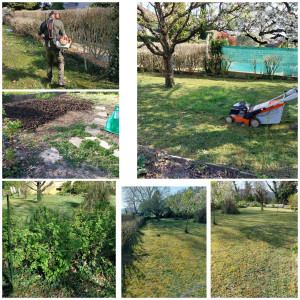 Photo de galerie - Entretien du jardin tonte debroussaillage et bêchage .
