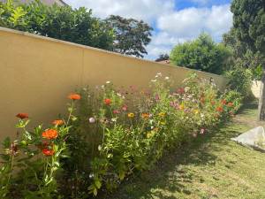 Photo de galerie - Mise en terre de plantes