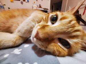 Photo de galerie - Garde de Rauby, 15ans, pendant 3 semaines en août