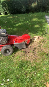 Photo de galerie - Elagage et coupe d'arbres