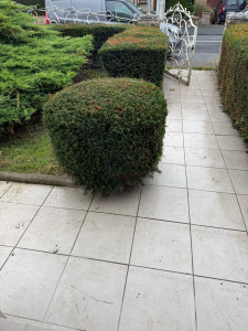 Photo de galerie - Une petite intervention sur une taille de hais 