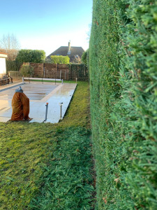 Photo de galerie - Côté de haie de Cyprès 