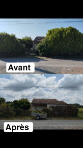 Photo de galerie - Rabaissement d'une haie de 4m
