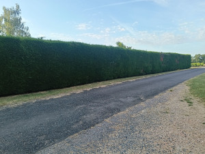 Photo de galerie - Jardinier