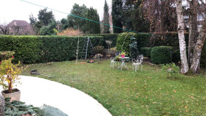 Photo de galerie - Taille de la haie 