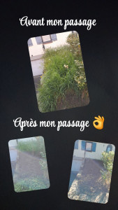 Photo de galerie - Paysagiste - Aménagement du jardin