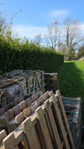 Photo de galerie - Voici une taille de haie et de pelouse réaliser par BF SERVICE 
