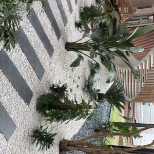 Photo de galerie - Paysagiste - Aménagement du jardin