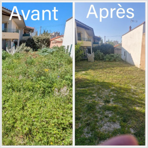 Photo de galerie - Avant après débroussaillage