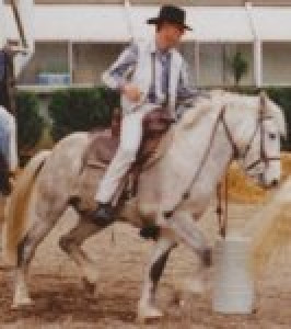 Photo de galerie - Pension chevaux