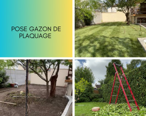 Photo de galerie - Pose Gazon de Plaquage et Entretien