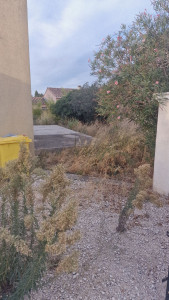 Photo de galerie - Tonte de pelouse - Débroussaillage