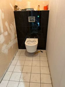 Photo de galerie - Installation d’un WC suspendu 