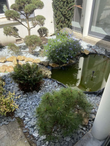 Photo de galerie - Paysagiste - Aménagement du jardin