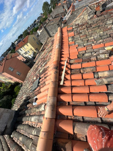 Photo de galerie - Remplacement de tuiles