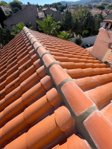 Photo de galerie - Rénovation faîtage