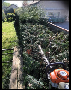 Photo de galerie - Aménagement paysagiste 