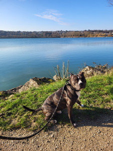 Photo de galerie - Promenade au lac