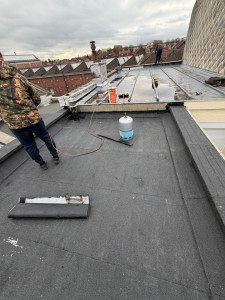 Photo de galerie - Couverture - Toiture