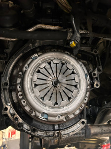 Photo de galerie - 1 