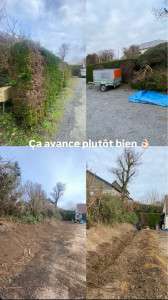 Photo de galerie - Suppression d’une haie de sapin pour préparer le terrain à accueillir un grillage souple