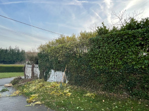 Photo de galerie - Photo après 3 heure de tailles 