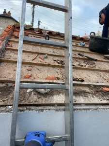 Photo de galerie - Changement de tuiles et de Litaux Sur un petit abri de jardin en dur