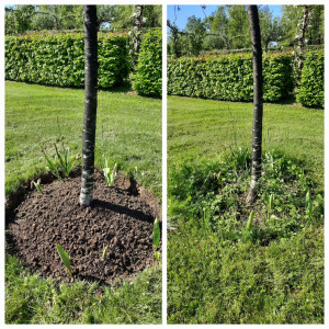 Photo de galerie - Jardinier