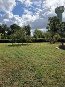 Photo de galerie - Tonte de pelouse - Débroussaillage