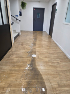 Photo de galerie - Vos sols ont perdu leur éclat ? Des traces d'eau, de la saleté encrassée ou un manque de brillance altèrent l'aspect de vos locaux ? Nous avons la solution !
​Grâce à notre équipement professionnel et nos techniques spécialisées, nous transformons vos sur