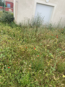 Photo de galerie - Debut travail