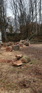 Photo de galerie - Coupe de bois chez particulier ou dans forêt    et petit travaux ( pose de parquet, peinture etc)
     






