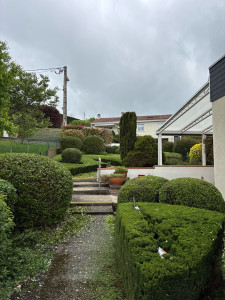 Photo de galerie - Taille arbustes haie 