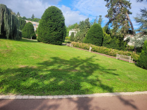 Photo de galerie - Tonte 