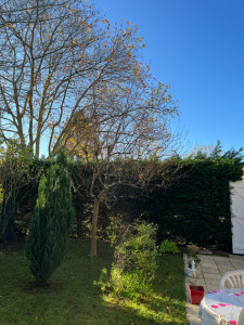 Photo de galerie - Elagage et coupe d'arbres