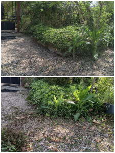 Photo de galerie - Entretien du jardin