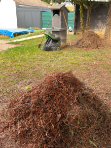 Photo de galerie - Ramasse de feuilles 