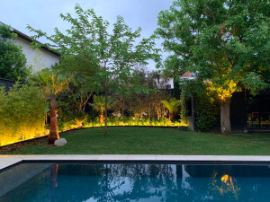 Photo de galerie - Création et aménagement d’un jardin. 