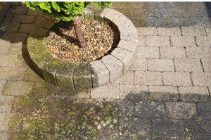 Photo de galerie - Couverture - Toiture