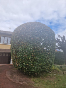 Photo de galerie - Chantier terminé