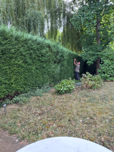 Photo de galerie - Taille de haies et d'arbustes