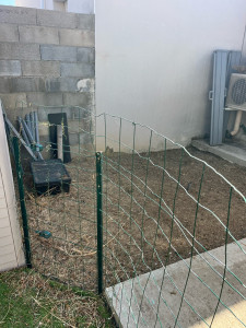 Photo de galerie - Arrachage mauvaise herbe 