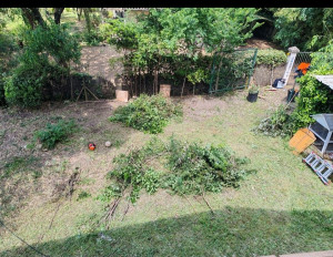 Photo de galerie - .