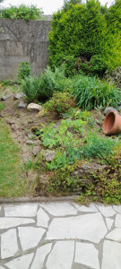 Photo de galerie - Paysagiste - Aménagement du jardin