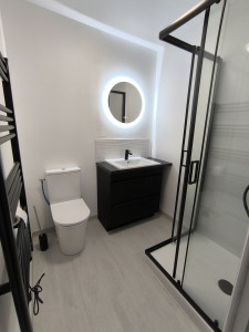 Photo de galerie - Pose d'un wc , d'un meuble sous vasque , insertion de la vasque dans un plan de travail découpe sur mesure 