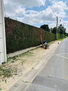 Photo de galerie - Après mon intervention 