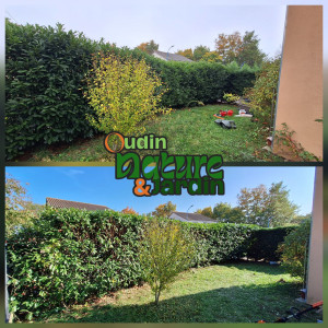 Photo de galerie - Taille de haies et d'arbustes 